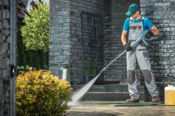 Best Driveway Cleaning and Restoration in Vienna, IL